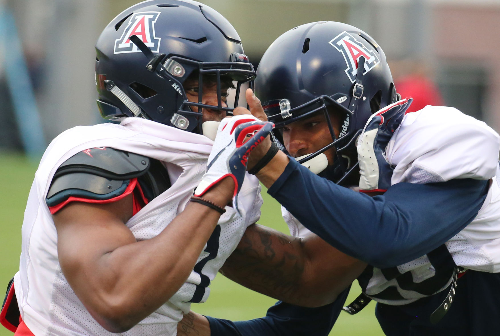 Arizona Wildcats spring football practice
